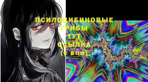 герыч Новокубанск