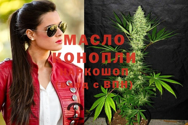 гашик Елизово
