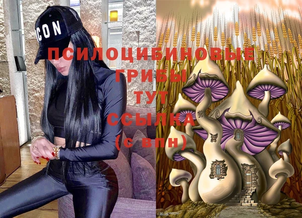 герыч Новокубанск