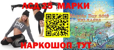 гашик Гагарин