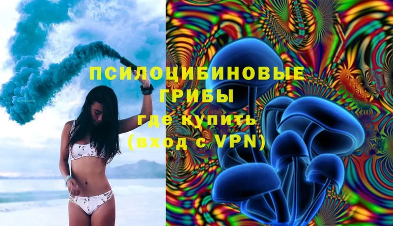 Псилоцибиновые грибы Psilocybe  KRAKEN tor  Рыбинск  хочу  