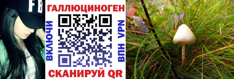 Галлюциногенные грибы Magic Shrooms  Рыбинск 