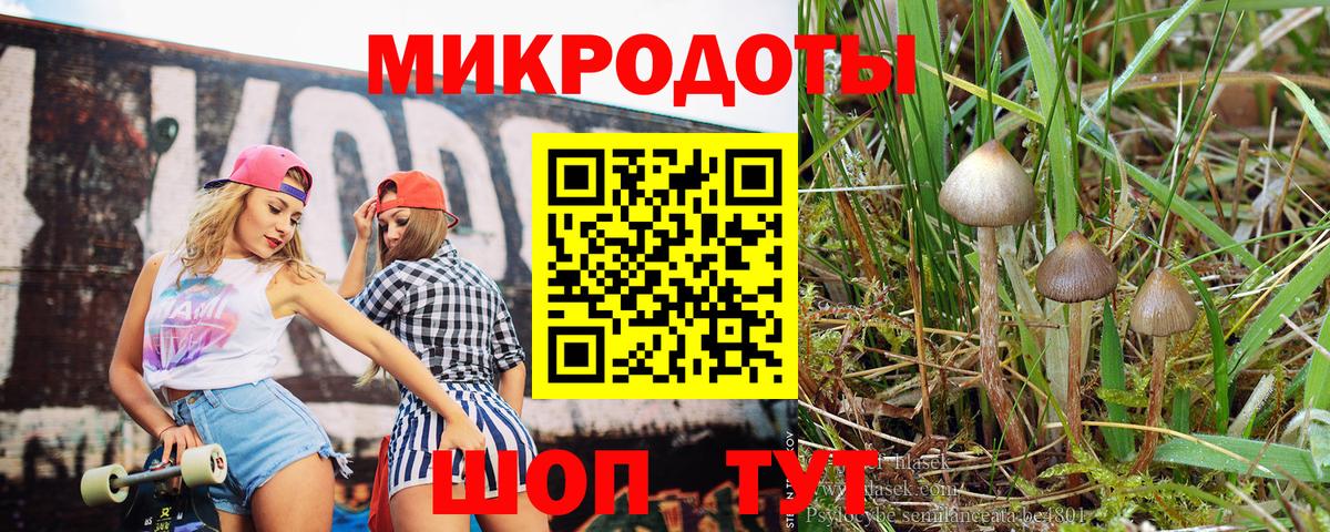 Псилоцибиновые грибы мухоморы  Вход с VPN  Рыбинск 